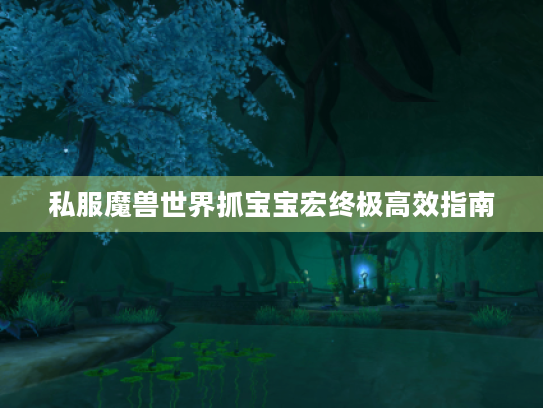 私服魔兽世界抓宝宝宏终极高效指南 私服魔兽世界抓宝宝宏终极高效指南