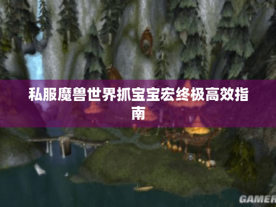 私服魔兽世界抓宝宝宏终极高效指南 私服魔兽世界抓宝宝宏终极高效指南