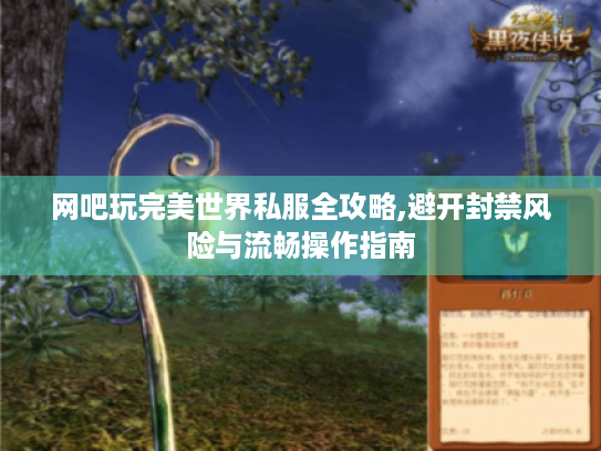 网吧玩完美世界私服全攻略,避开封禁风险与流畅操作指南 网吧玩完美世界私服全攻略,避开封禁风险与流畅操作指南