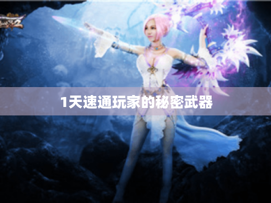 1天速通玩家的秘密武器