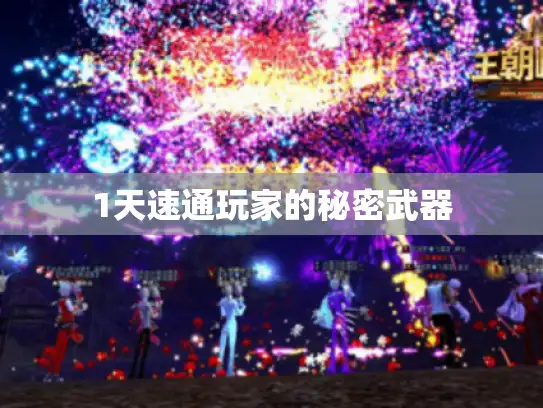 1天速通玩家的秘密武器 1天速通玩家的秘密武器