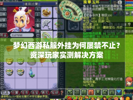 梦幻西游私服外挂为何屡禁不止?资深玩家实测解决方案 梦幻西游私服外挂为何屡禁不止?资深玩家实测解决方案