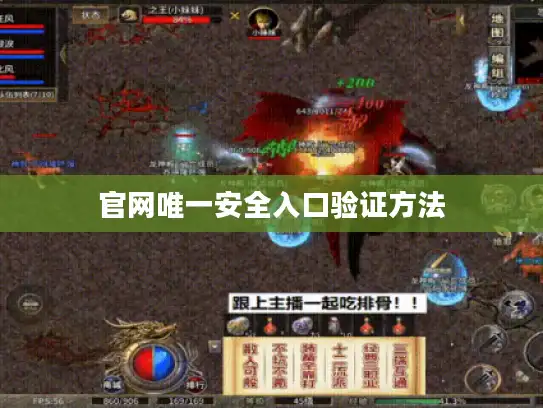 官网唯一安全入口验证方法 官网唯一安全入口验证方法