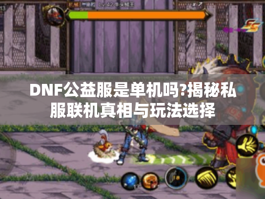 DNF公益服是单机吗?揭秘私服联机真相与玩法选择 DNF公益服是单机吗?揭秘私服联机真相与玩法选择