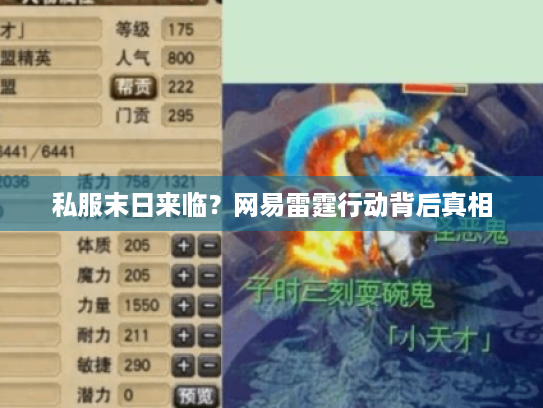 私服末日来临?网易雷霆行动背后真相 私服末日来临?网易雷霆行动背后真相