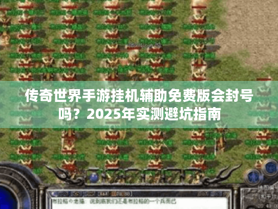 传奇世界手游挂机辅助免费版会封号吗？2025年实测避坑指南