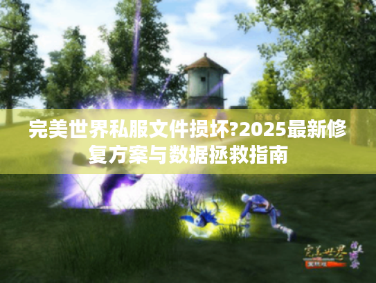 完美世界私服文件损坏?2025最新修复方案与数据拯救指南 完美世界私服文件损坏?2025最新修复方案与数据拯救指南