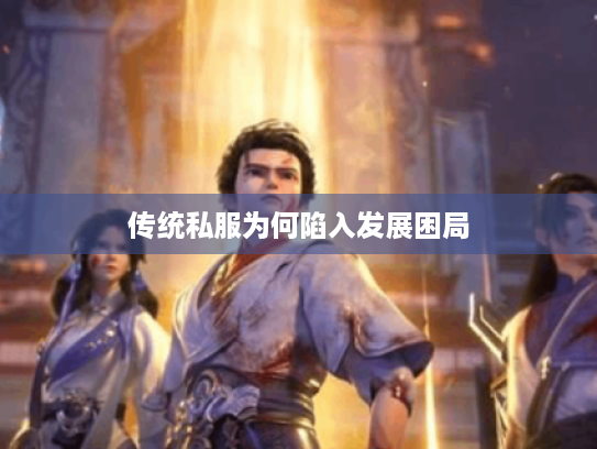 传统私服为何陷入发展困局 传统私服为何陷入发展困局