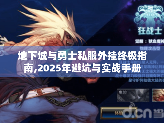 地下城与勇士私服外挂终极指南,2025年避坑与实战手册 地下城与勇士私服外挂终极指南,2025年避坑与实战手册