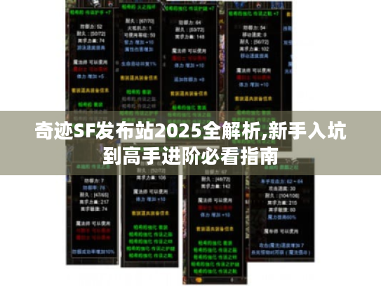 奇迹SF发布站2025全解析,新手入坑到高手进阶必看指南 奇迹SF发布站2025全解析,新手入坑到高手进阶必看指南