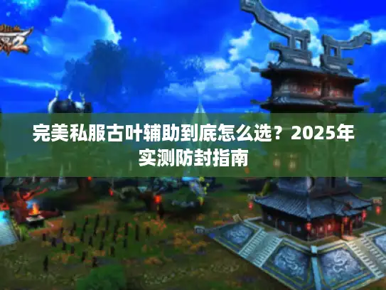 完美私服古叶辅助到底怎么选？2025年实测防封指南