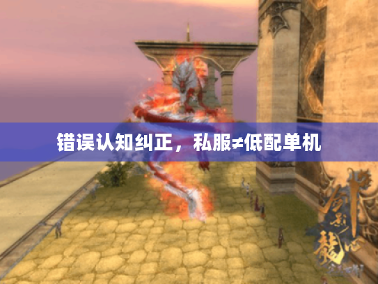 错误认知纠正,私服≠低配单机 错误认知纠正,私服≠低配单机