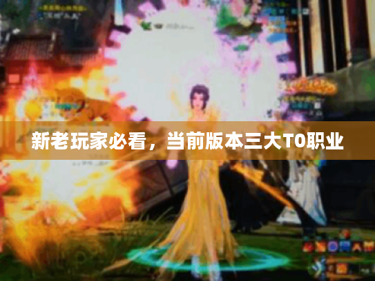 新老玩家必看，当前版本三大T0职业