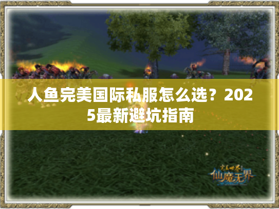 人鱼完美国际私服怎么选?2025最新避坑指南 人鱼完美国际私服怎么选?2025最新避坑指南