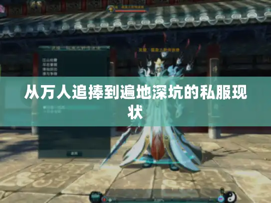 从万人追捧到遍地深坑的私服现状