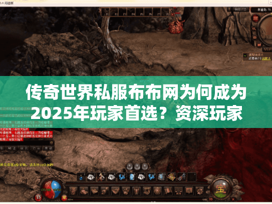传奇世界私服布布网为何成为2025年玩家首选？资深玩家实测揭秘