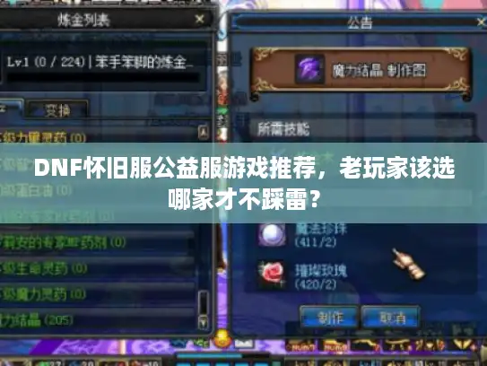 DNF怀旧服公益服游戏推荐，老玩家该选哪家才不踩雷？