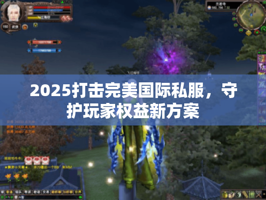 2025打击完美国际私服，守护玩家权益新方案