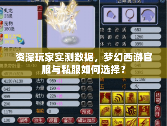 资深玩家实测数据，梦幻西游官服与私服如何选择？
