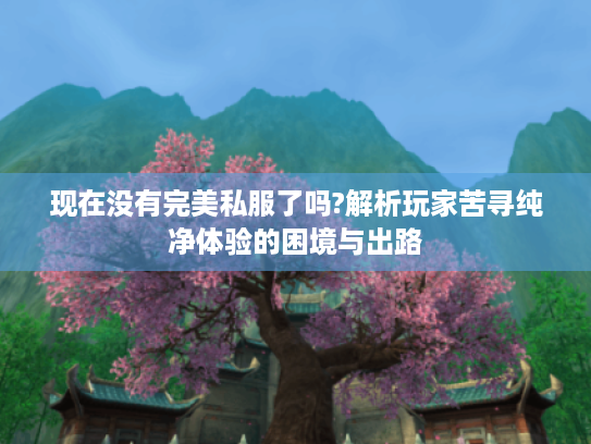 现在没有完美私服了吗?解析玩家苦寻纯净体验的困境与出路