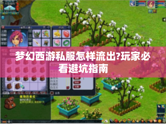 梦幻西游私服怎样流出?玩家必看避坑指南