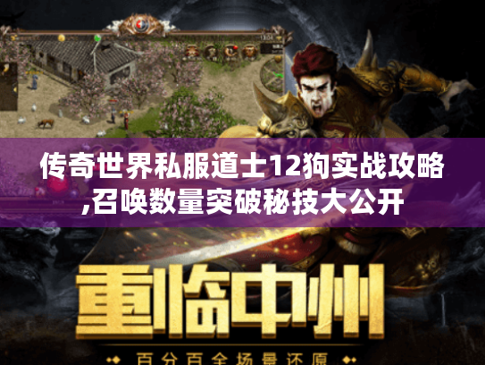 传奇世界私服道士12狗实战攻略,召唤数量突破秘技大公开 传奇世界私服道士12狗实战攻略,召唤数量突破秘技大公开