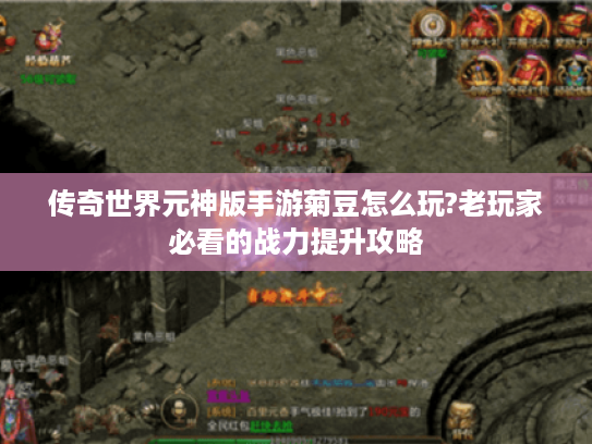 传奇世界元神版手游菊豆怎么玩?老玩家必看的战力提升攻略