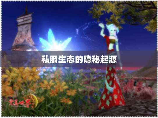 私服生态的隐秘起源 私服生态的隐秘起源