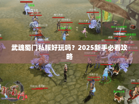武魂蜀门私服好玩吗?2025新手必看攻略 武魂蜀门私服好玩吗?2025新手必看攻略