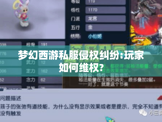 梦幻西游私服侵权纠纷:玩家如何维权? 梦幻西游私服侵权纠纷:玩家如何维权?