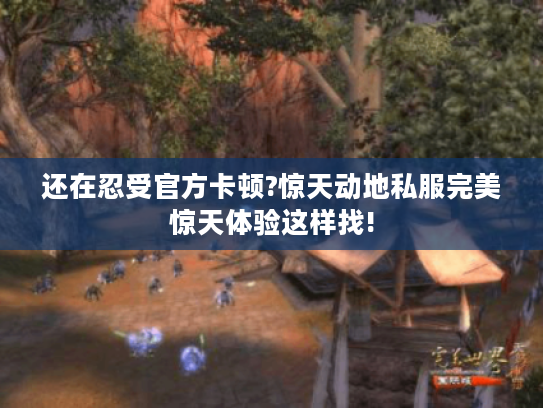 还在忍受官方卡顿?惊天动地私服完美惊天体验这样找!