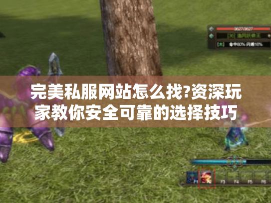 完美私服网站怎么找?资深玩家教你安全可靠的选择技巧
