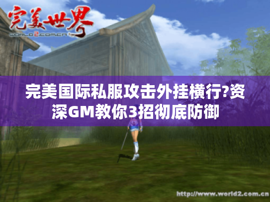 完美国际私服攻击外挂横行?资深GM教你3招彻底防御 完美国际私服攻击外挂横行?资深GM教你3招彻底防御