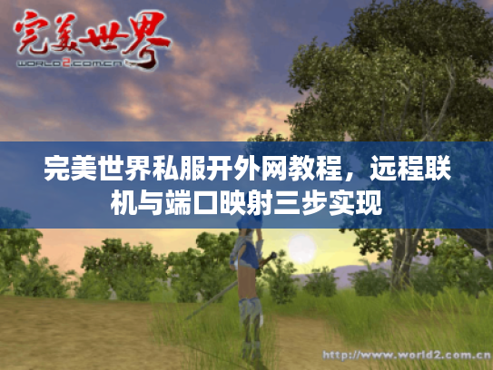 完美世界私服开外网教程，远程联机与端口映射三步实现
