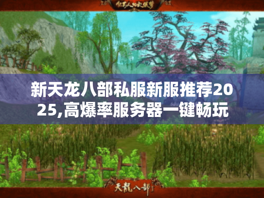 新天龙八部私服新服推荐2025,高爆率服务器一键畅玩