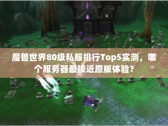 魔兽世界80级私服排行Top5实测，哪个服务器最接近原版体验？
