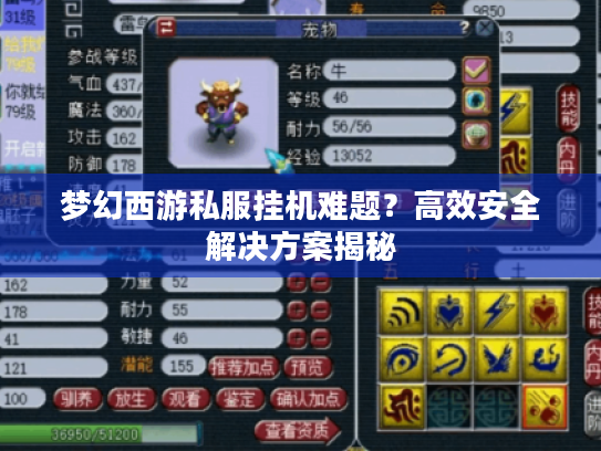梦幻西游私服挂机难题?高效安全解决方案揭秘 梦幻西游私服挂机难题?高效安全解决方案揭秘