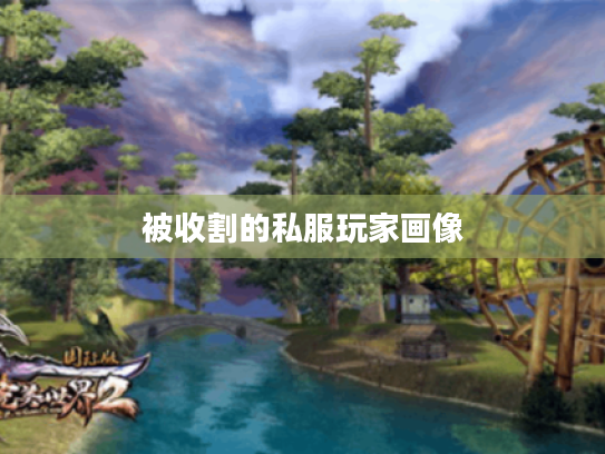 被收割的私服玩家画像 被收割的私服玩家画像