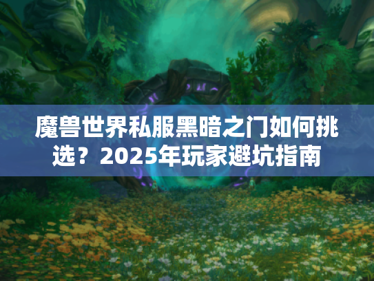 魔兽世界私服黑暗之门如何挑选?2025年玩家避坑指南 魔兽世界私服黑暗之门如何挑选?2025年玩家避坑指南