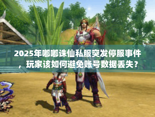 2025年嘟嘟诛仙私服突发停服事件，玩家该如何避免账号数据丢失？