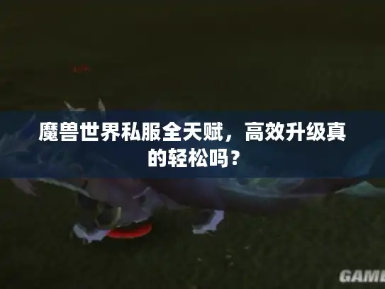 魔兽世界私服全天赋，高效升级真的轻松吗？