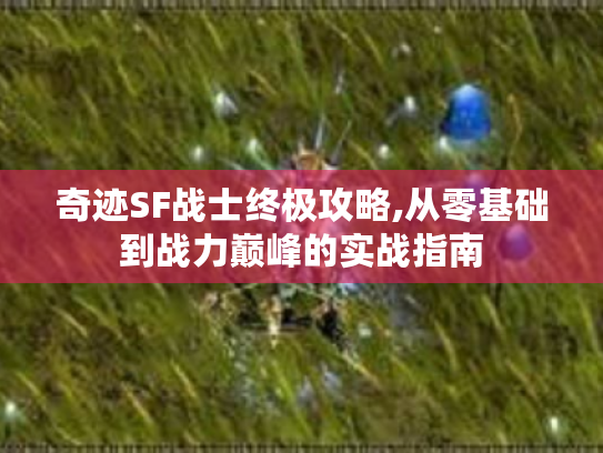 奇迹SF战士终极攻略,从零基础到战力巅峰的实战指南 奇迹SF战士终极攻略,从零基础到战力巅峰的实战指南