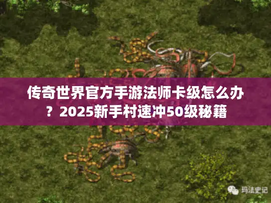 传奇世界官方手游法师卡级怎么办？2025新手村速冲50级秘籍