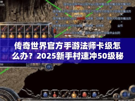 传奇世界官方手游法师卡级怎么办？2025新手村速冲50级秘籍