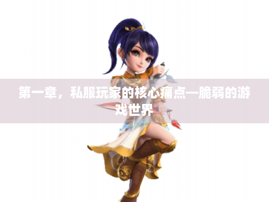 第一章，私服玩家的核心痛点—脆弱的游戏世界