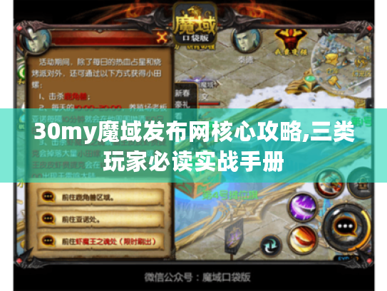 30my魔域发布网核心攻略,三类玩家必读实战手册 30my魔域发布网核心攻略,三类玩家必读实战手册