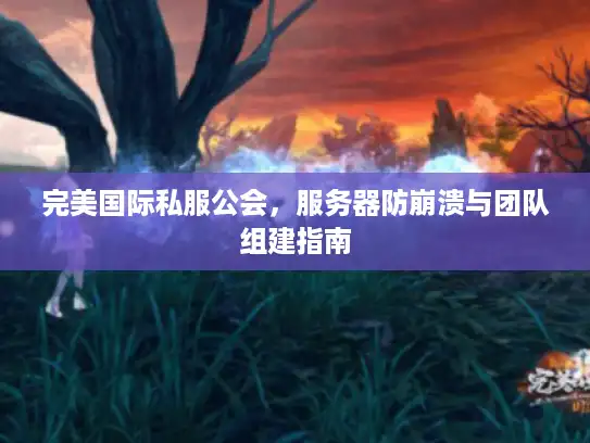 完美国际私服公会,服务器防崩溃与团队组建指南 完美国际私服公会,服务器防崩溃与团队组建指南