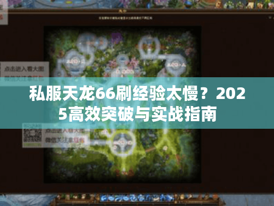 私服天龙66刷经验太慢？2025高效突破与实战指南