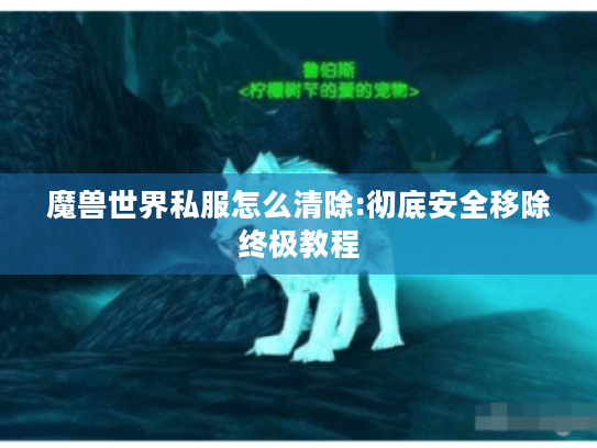 魔兽世界私服怎么清除:彻底安全移除终极教程 魔兽世界私服怎么清除:彻底安全移除终极教程