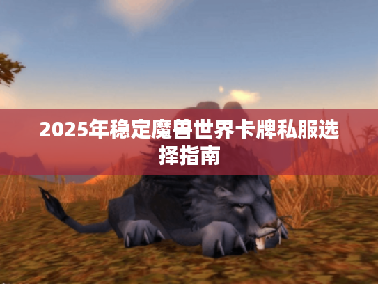 2025年稳定魔兽世界卡牌私服选择指南 2025年稳定魔兽世界卡牌私服选择指南